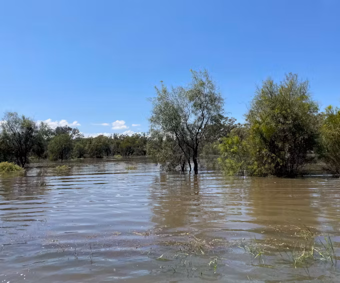 Flooded area NSW by Jodi Rowley